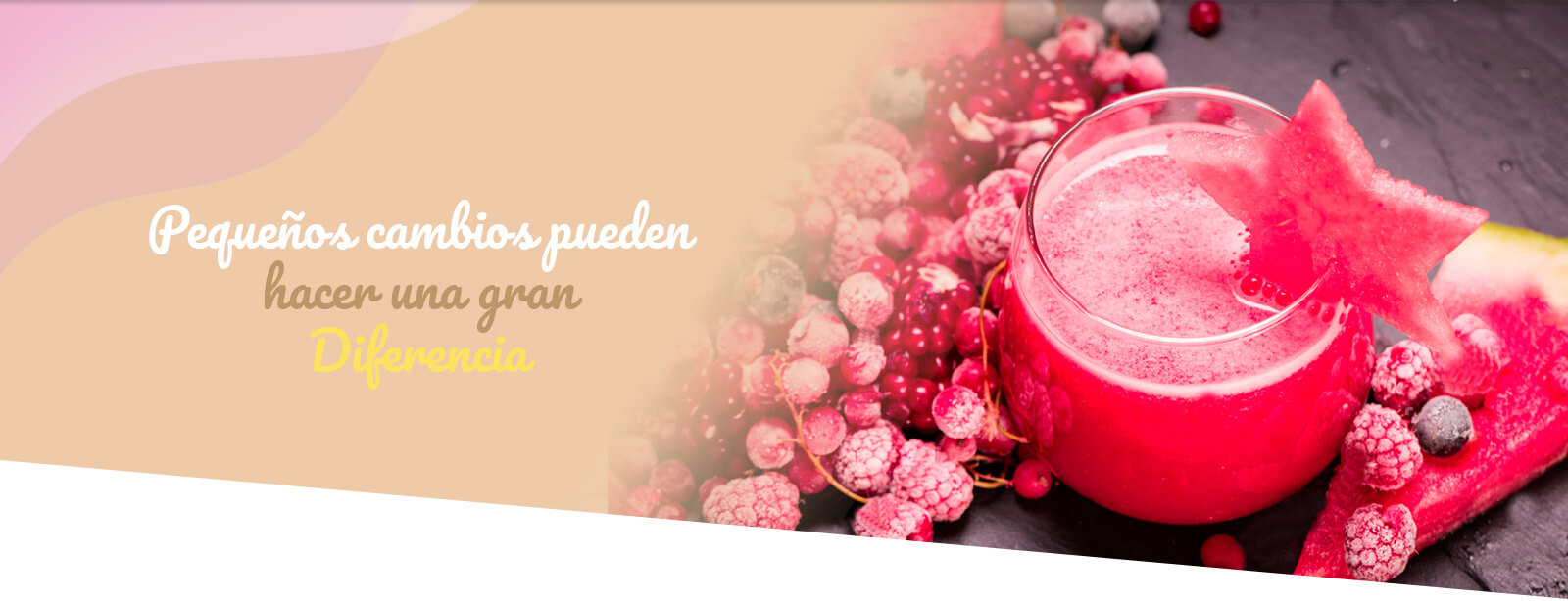 calorie-nutrición-servicios-banner-español